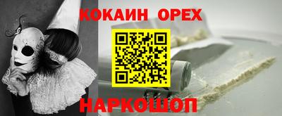 прущие грибы Будённовск