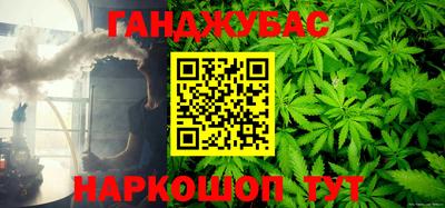 прущие грибы Будённовск