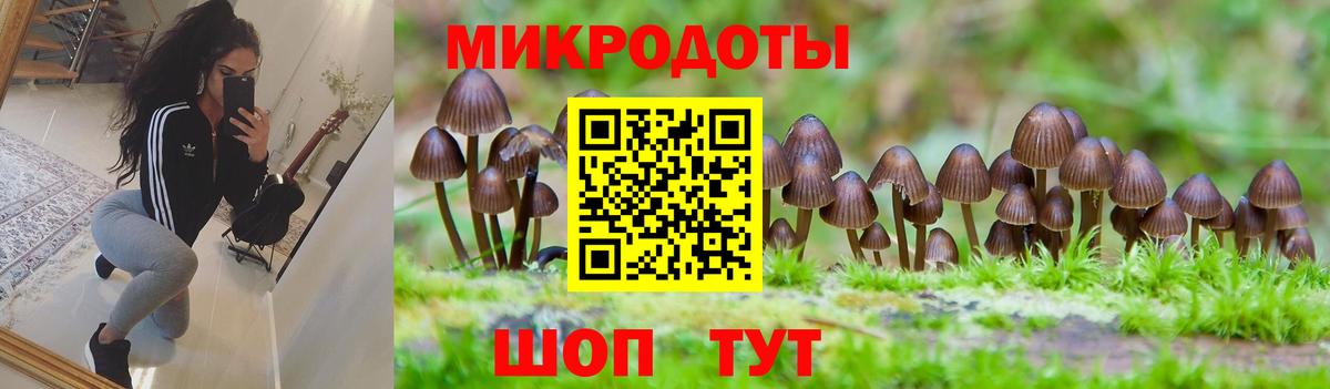 Галлюциногенные грибы MAGIC MUSHROOMS  Псилоцибиновые грибы GOLDEN TEACHER  Вход с VPN  Мегион 