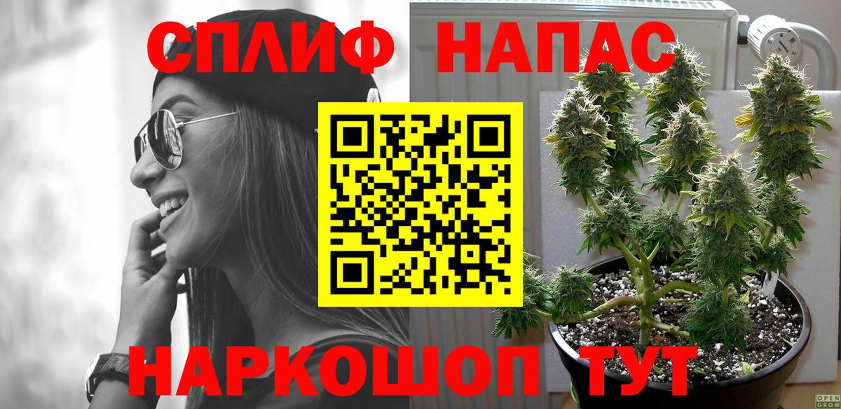 Марихуана планчик  Марихуана сатива  Мегион  Канабис MAZAR  Канабис индика  Вход с VPN 